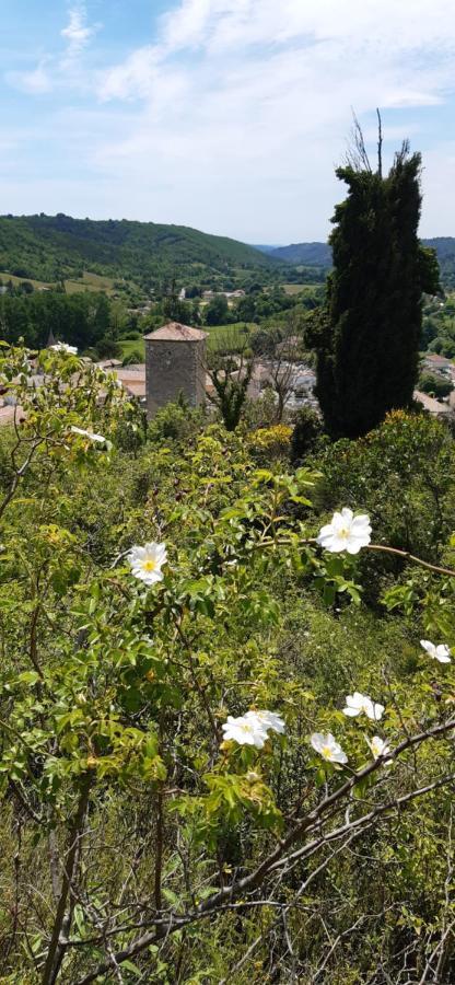 Loc Alp Verdon リエ エクステリア 写真